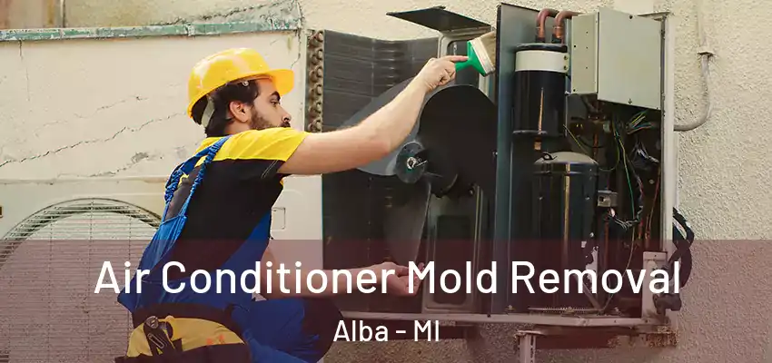  Air Conditioner Mold Removal Alba - MI