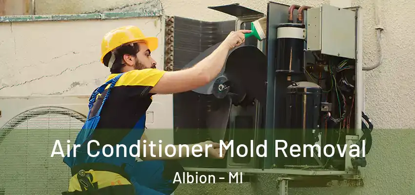  Air Conditioner Mold Removal Albion - MI