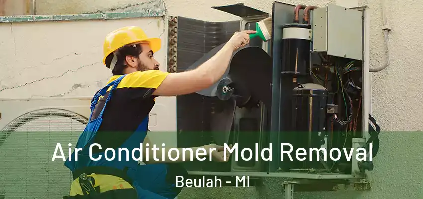  Air Conditioner Mold Removal Beulah - MI