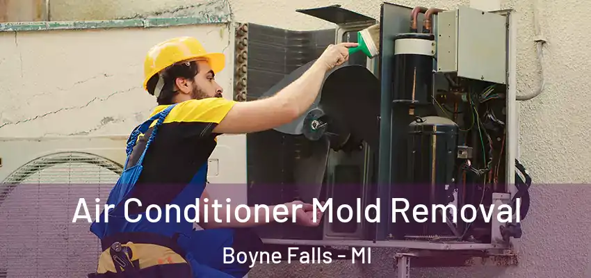  Air Conditioner Mold Removal Boyne Falls - MI