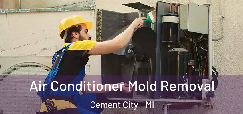  Air Conditioner Mold Removal Cement City - MI