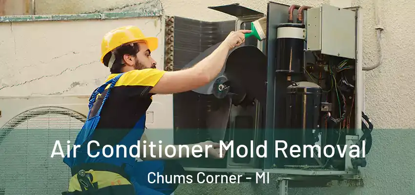  Air Conditioner Mold Removal Chums Corner - MI