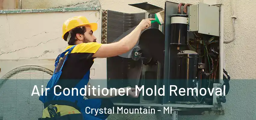 Air Conditioner Mold Removal Crystal Mountain - MI