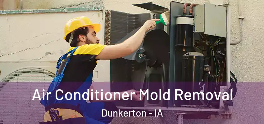  Air Conditioner Mold Removal Dunkerton - IA