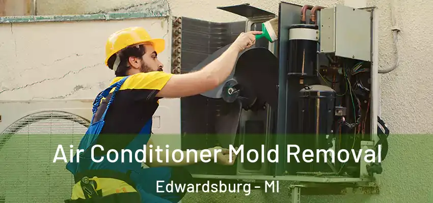 Air Conditioner Mold Removal Edwardsburg - MI