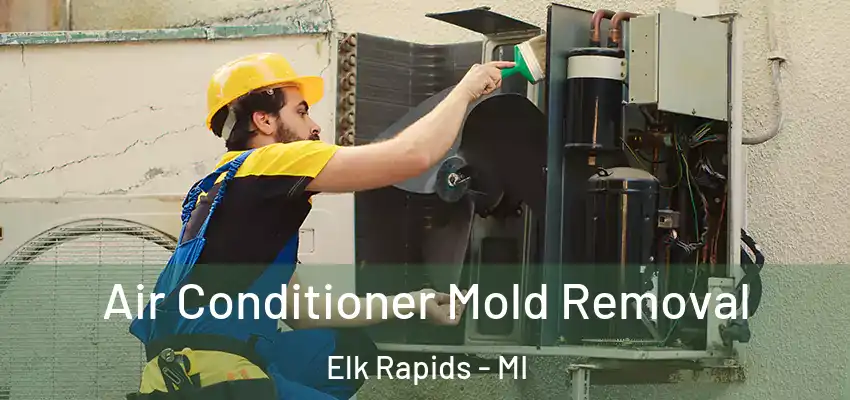 Air Conditioner Mold Removal Elk Rapids - MI