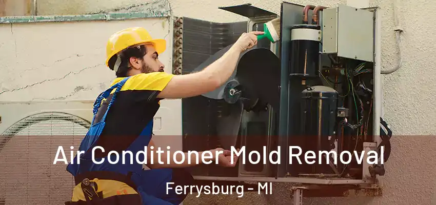  Air Conditioner Mold Removal Ferrysburg - MI