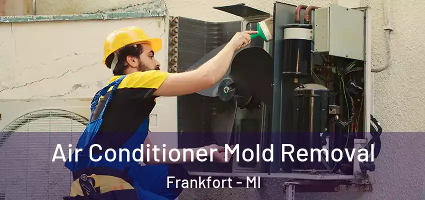 Air Conditioner Mold Removal Frankfort - MI