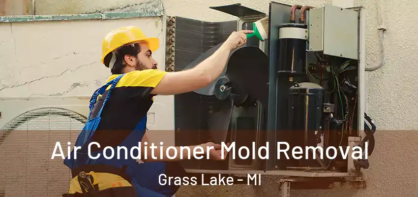 Air Conditioner Mold Removal Grass Lake - MI