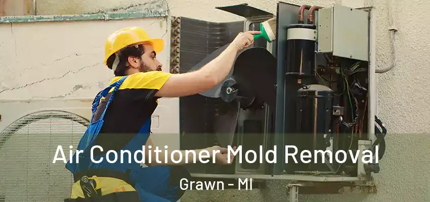  Air Conditioner Mold Removal Grawn - MI
