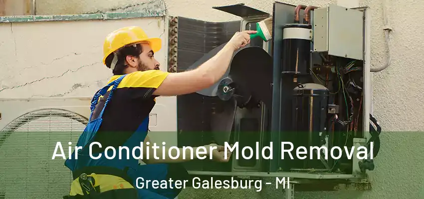 Air Conditioner Mold Removal Greater Galesburg - MI