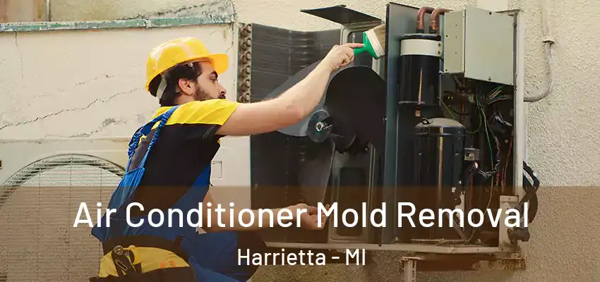  Air Conditioner Mold Removal Harrietta - MI