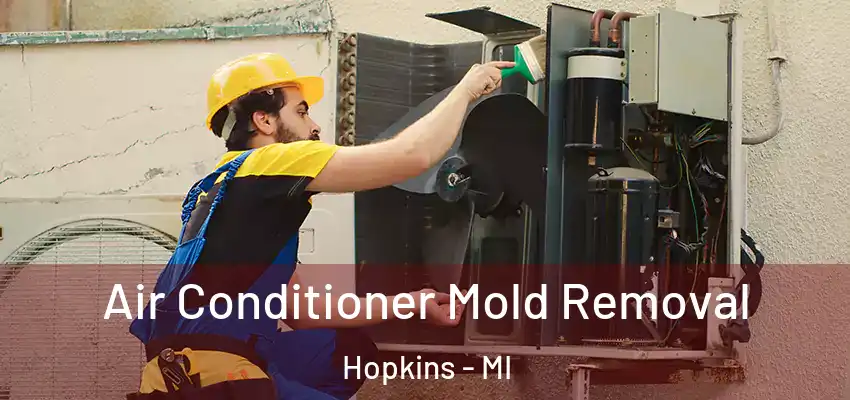 Air Conditioner Mold Removal Hopkins - MI