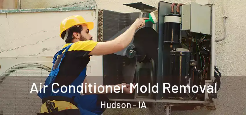  Air Conditioner Mold Removal Hudson - IA