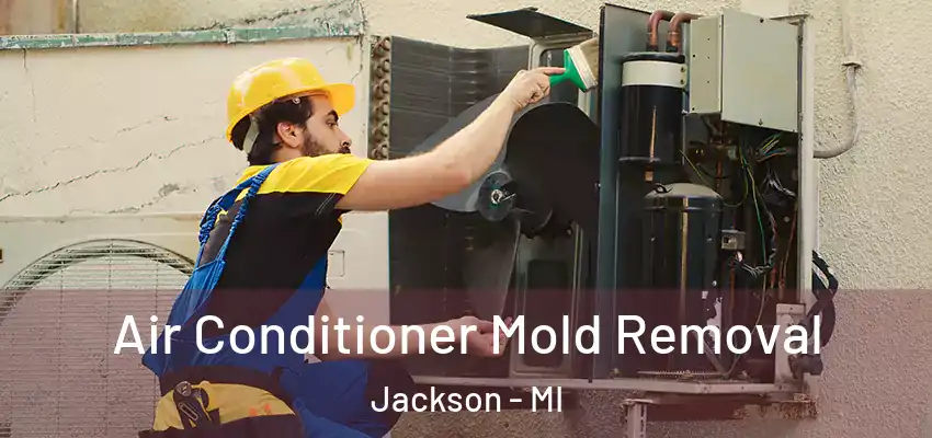  Air Conditioner Mold Removal Jackson - MI