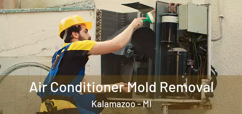 Air Conditioner Mold Removal Kalamazoo - MI