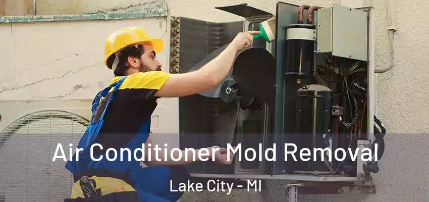 Air Conditioner Mold Removal Lake City - MI