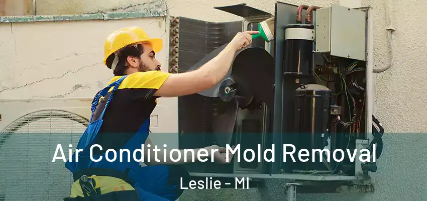  Air Conditioner Mold Removal Leslie - MI