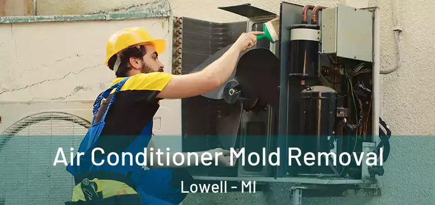  Air Conditioner Mold Removal Lowell - MI