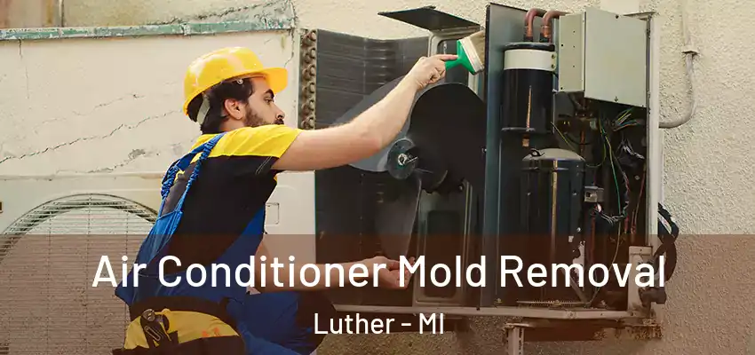  Air Conditioner Mold Removal Luther - MI