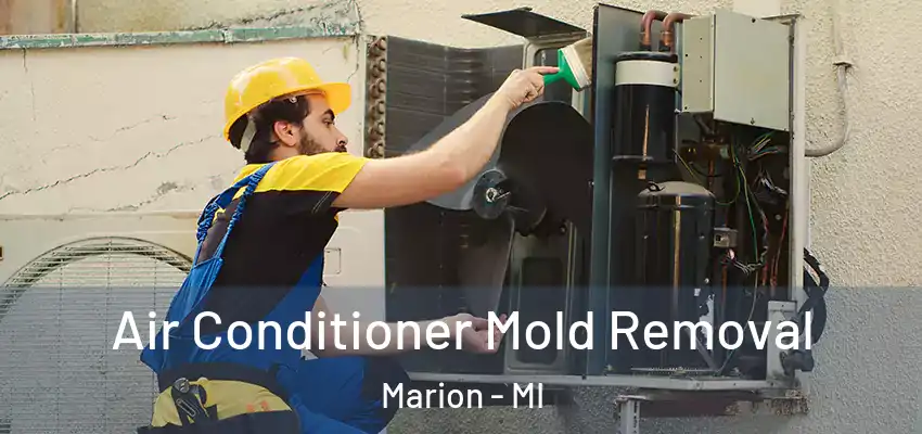  Air Conditioner Mold Removal Marion - MI