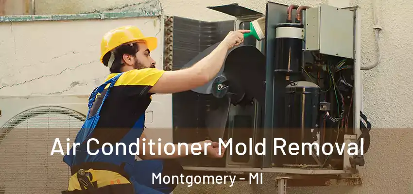  Air Conditioner Mold Removal Montgomery - MI