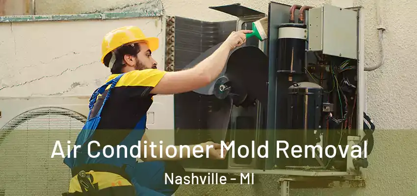  Air Conditioner Mold Removal Nashville - MI