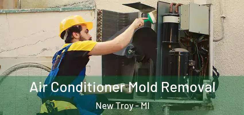 Air Conditioner Mold Removal New Troy - MI