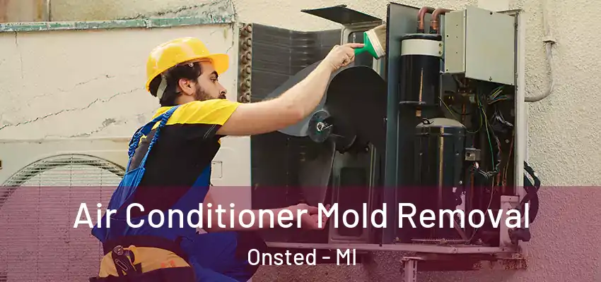  Air Conditioner Mold Removal Onsted - MI