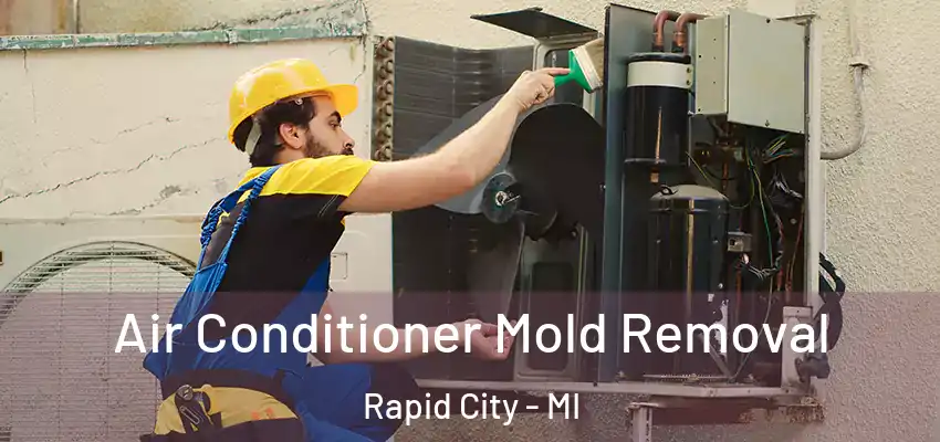 Air Conditioner Mold Removal Rapid City - MI