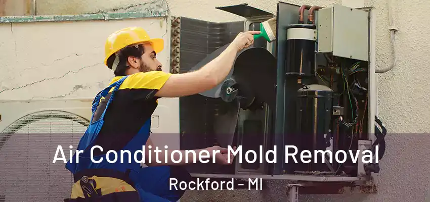 Air Conditioner Mold Removal Rockford - MI