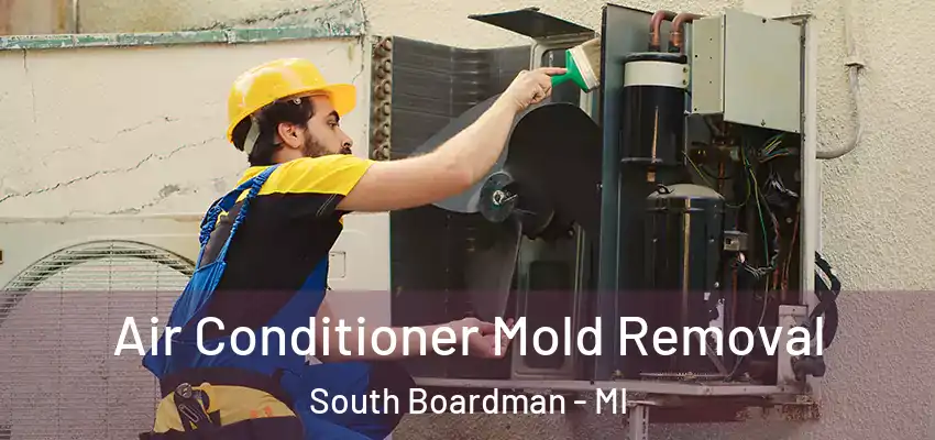  Air Conditioner Mold Removal South Boardman - MI