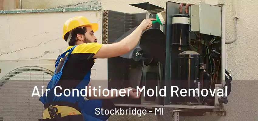  Air Conditioner Mold Removal Stockbridge - MI