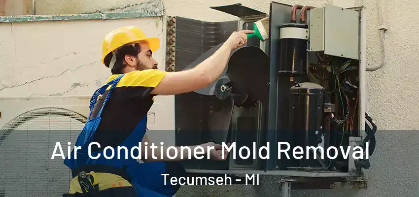  Air Conditioner Mold Removal Tecumseh - MI