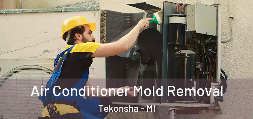  Air Conditioner Mold Removal Tekonsha - MI