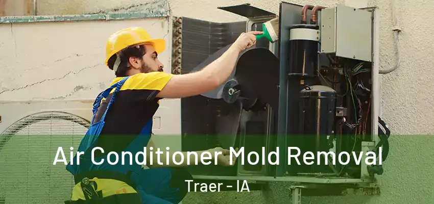  Air Conditioner Mold Removal Traer - IA