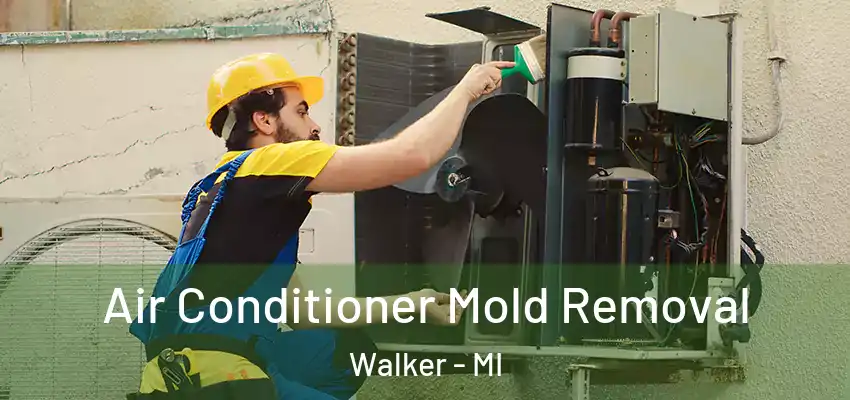  Air Conditioner Mold Removal Walker - MI