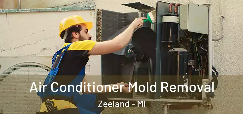 Air Conditioner Mold Removal Zeeland - MI