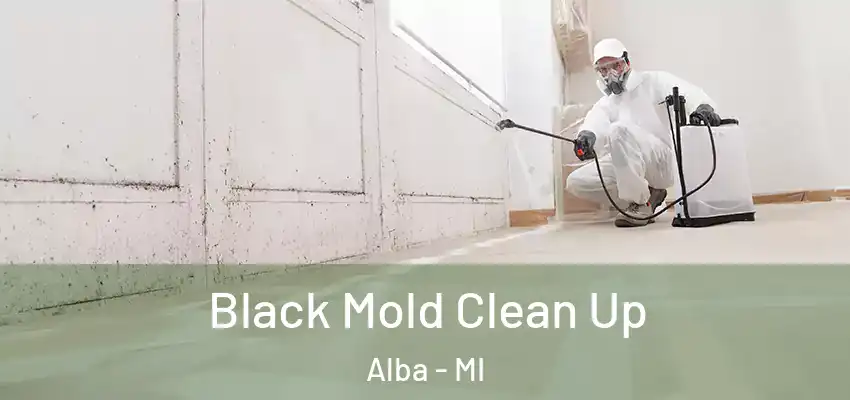  Black Mold Clean Up Alba - MI