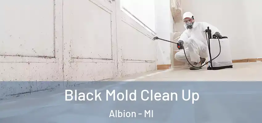  Black Mold Clean Up Albion - MI