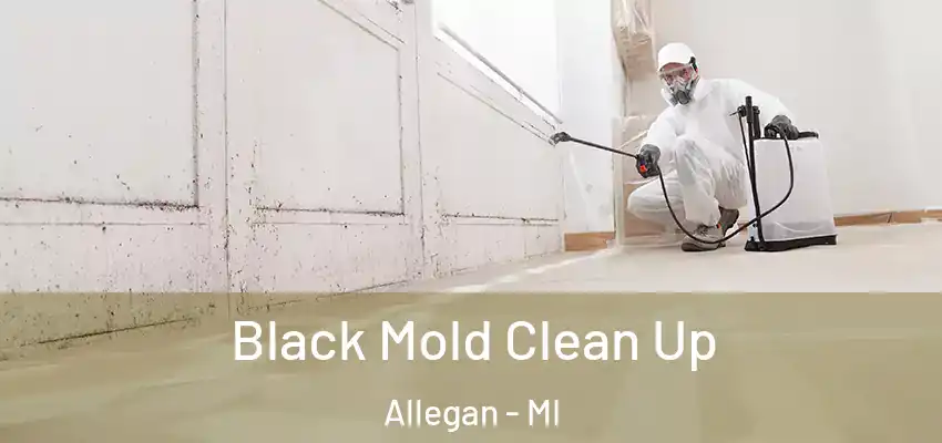 Black Mold Clean Up Allegan - MI