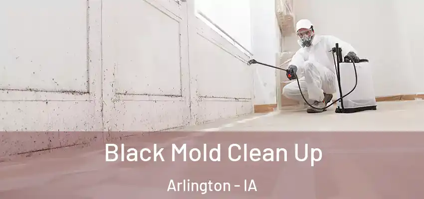  Black Mold Clean Up Arlington - IA