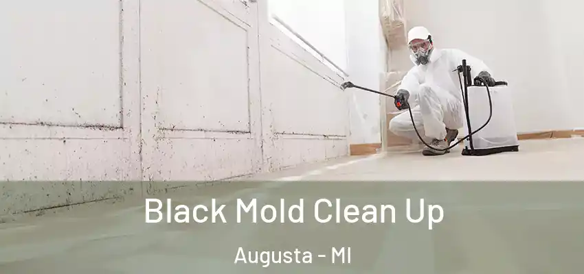  Black Mold Clean Up Augusta - MI