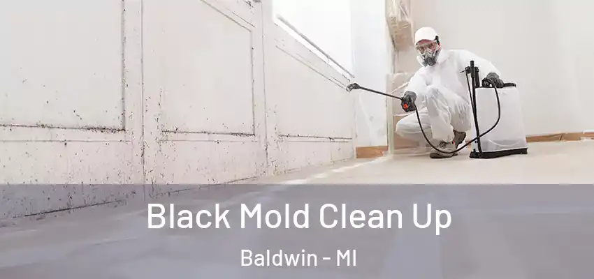  Black Mold Clean Up Baldwin - MI