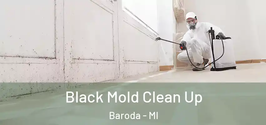  Black Mold Clean Up Baroda - MI