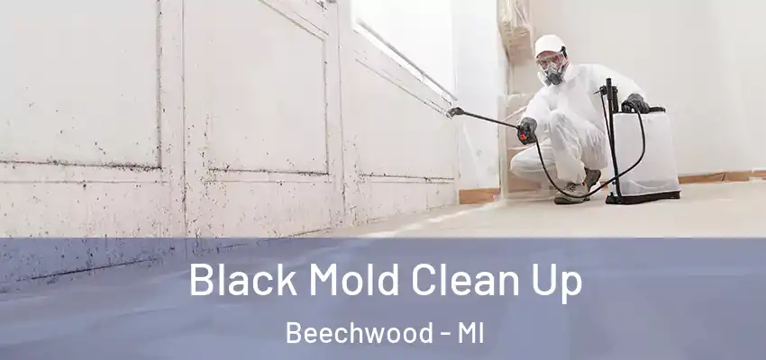  Black Mold Clean Up Beechwood - MI