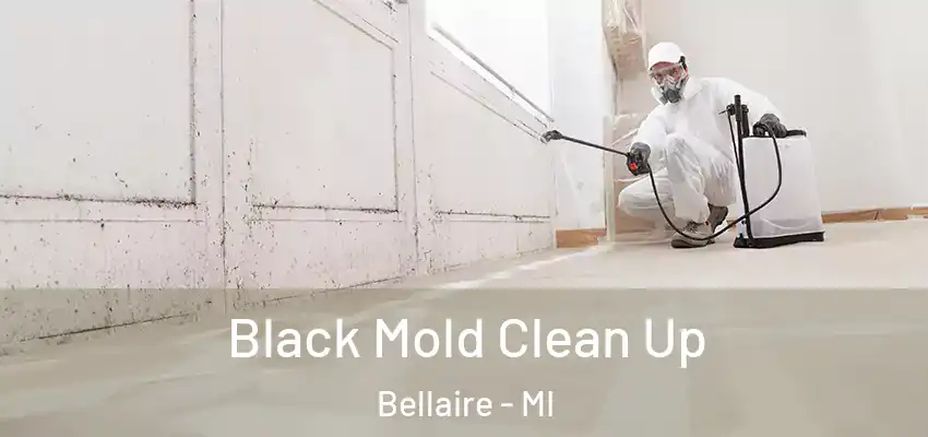  Black Mold Clean Up Bellaire - MI
