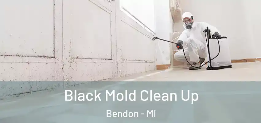  Black Mold Clean Up Bendon - MI