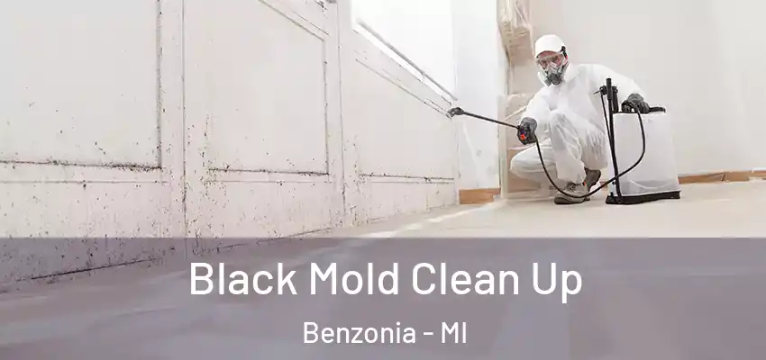  Black Mold Clean Up Benzonia - MI