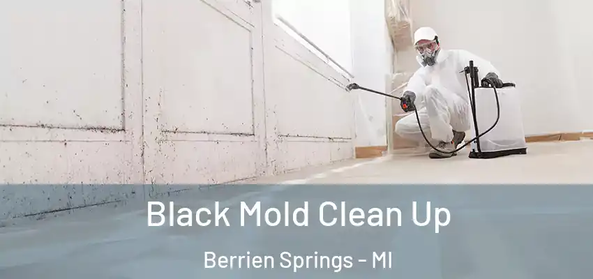 Black Mold Clean Up Berrien Springs - MI